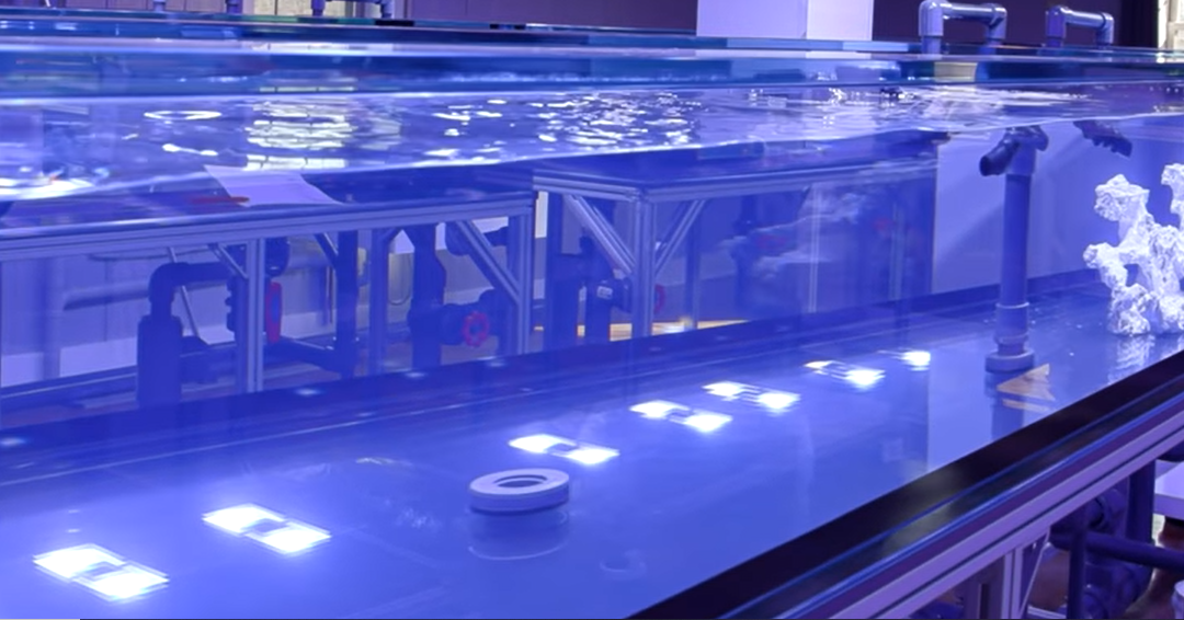 New Tidal Gardens Quarantine System!