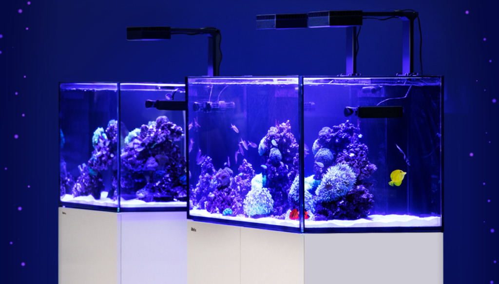 Red Sea Introduces Two New Reefer Series Aquariums at CIPS 2019
