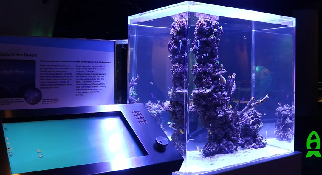 Reefs.com Exclusive : Phillip and Patricia Frost Museum of Science’s Aquaculture Exhibit