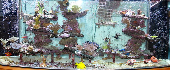 Total Organic Carbon (TOC) and the Reef Aquarium: an Initial Survey, Part I
