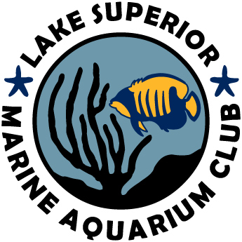 Lake Superior Marine Aquarium Club - Reefs.com