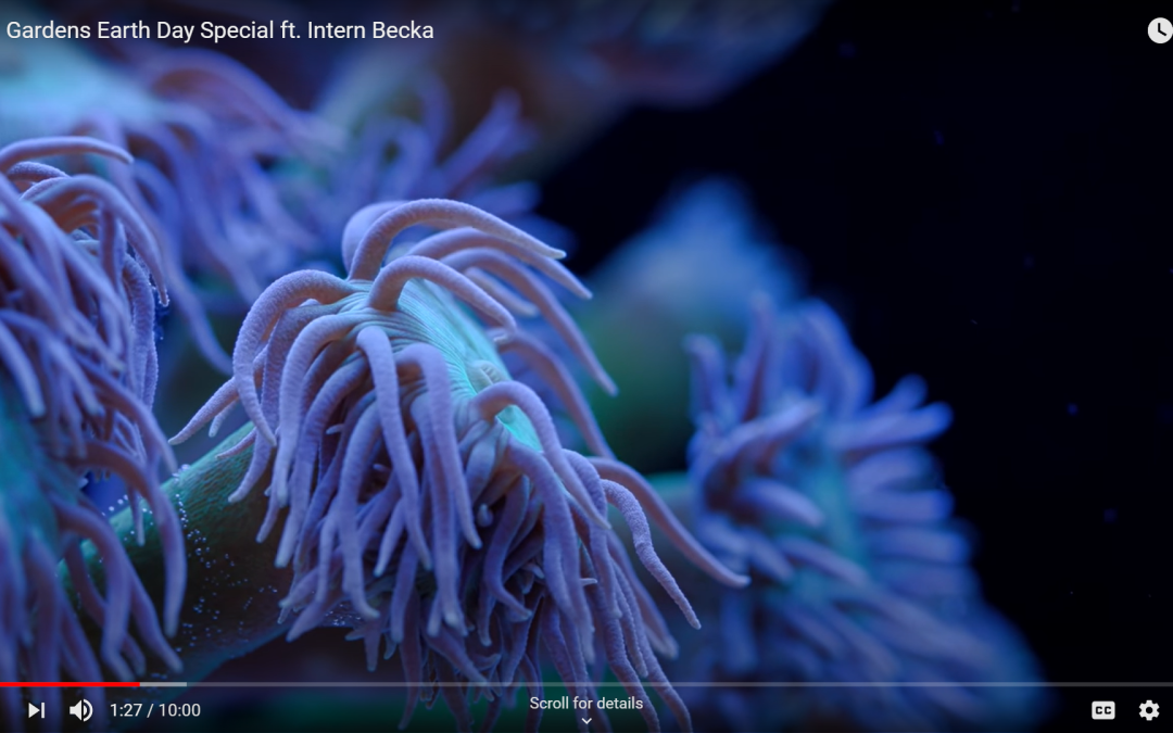 Tidal Gardens Earth Day Special ft. Intern Becka