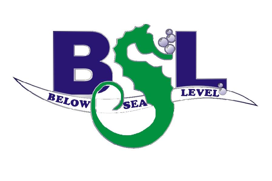 Below Sea Level Reefs Com