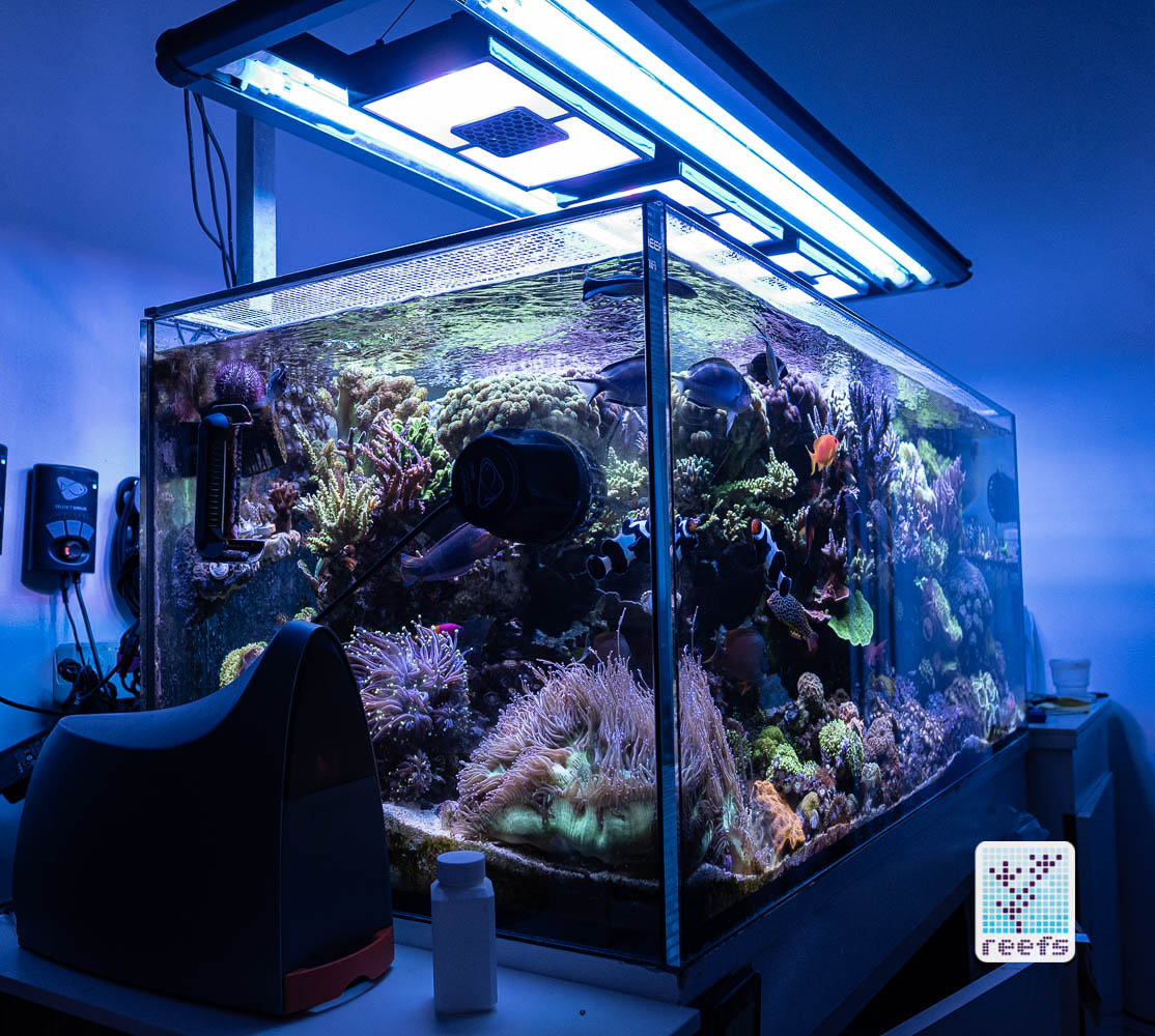 diy leds reef tank