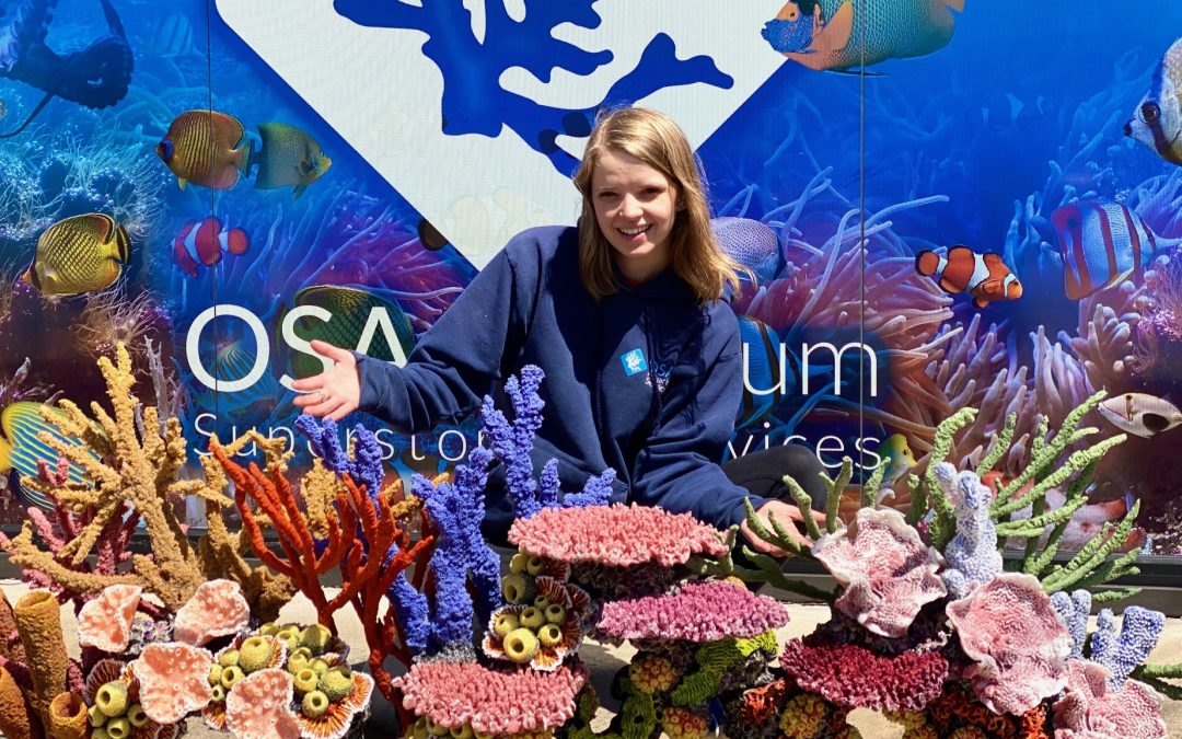 Is there value in a Local Fish Store during Covid?