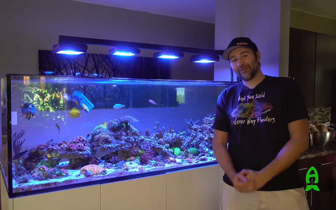 Reefs.com – Tank show off! Deven Rich aka Reef Dude