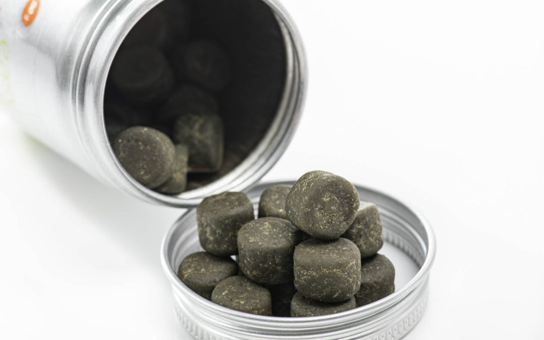 New Stuff: Easy Reefs Easy Masstick