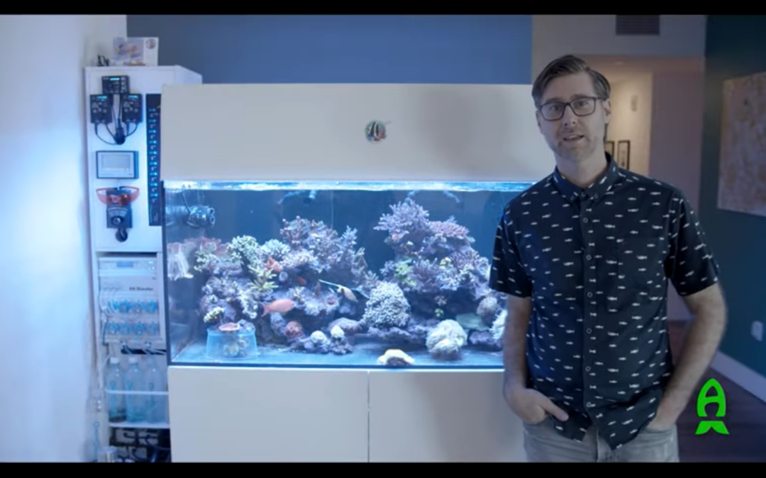 Reefs.com Tank Show Off: Aaron Dus