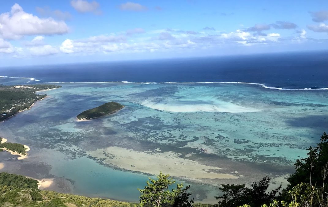 Mauritius declares state of environmental emergency after oil spill