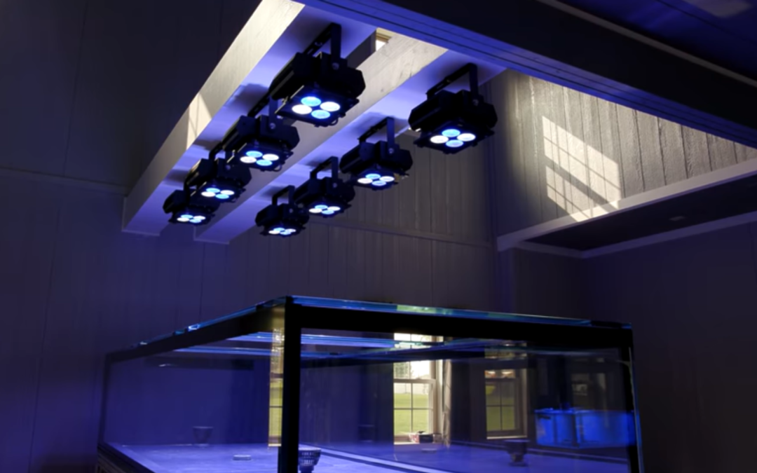 Installing Orphek Amazonas 960 Lights over the Peninsula Show Tank