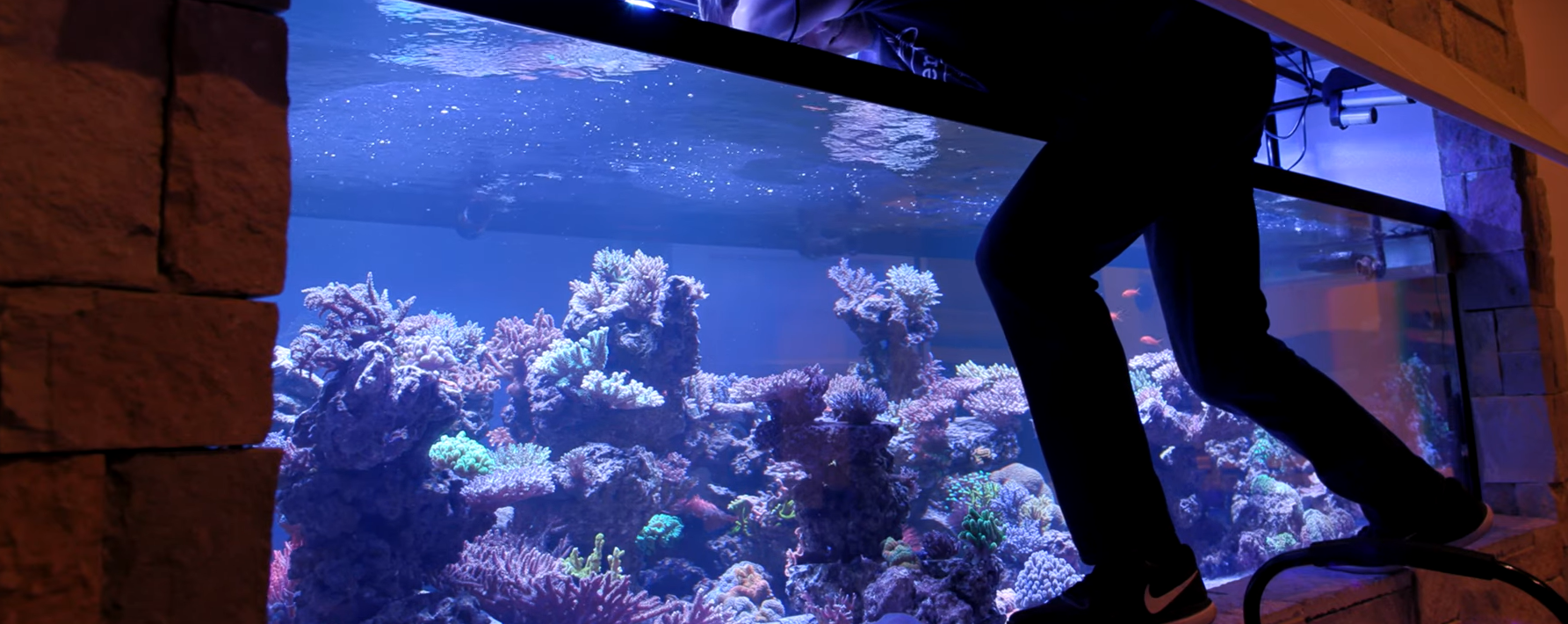 October 2020 Coral Farm Update