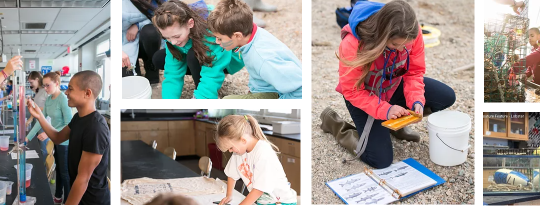 Project Oceanology Remote Learning Opportunities Still Available!