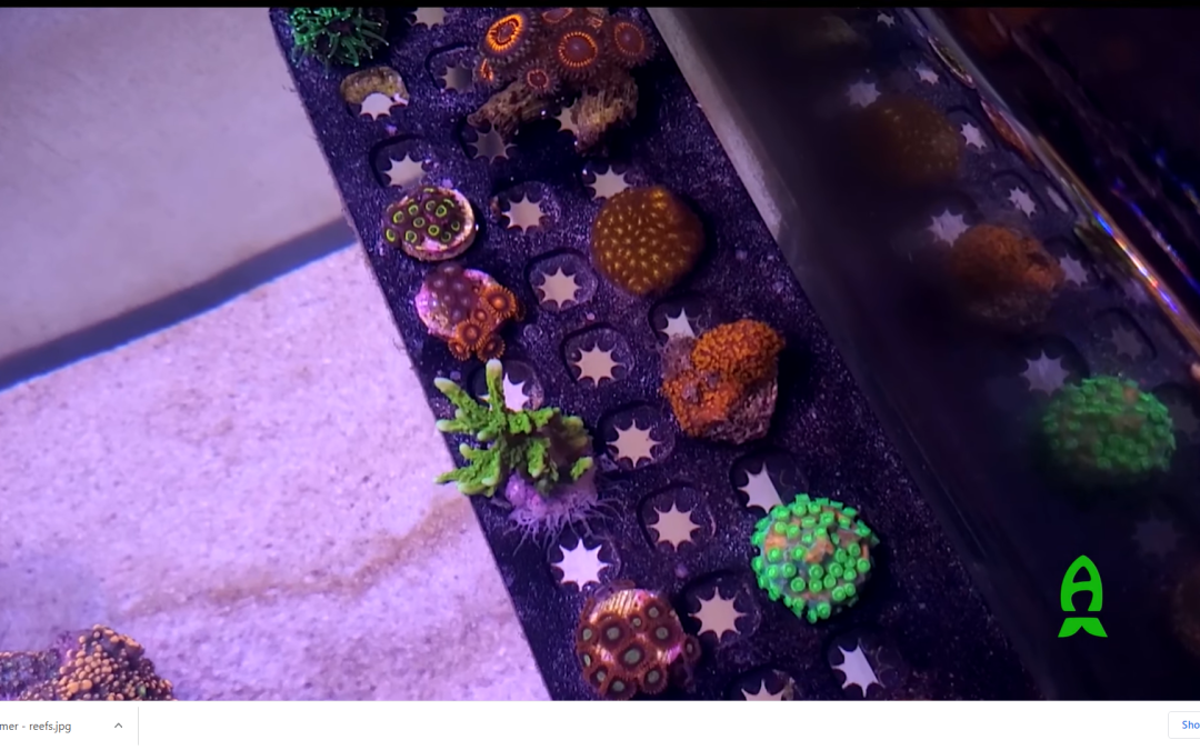 Update on Adam’s Tank. Adding Control 2 the mix.