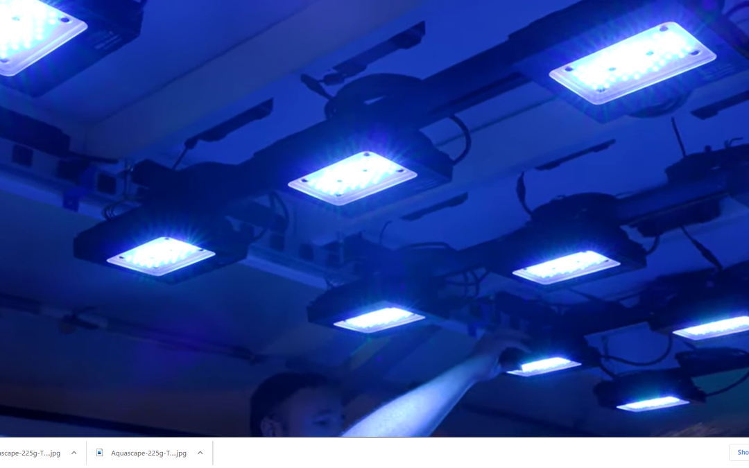 We put 30 Ecotech Radions over this Reef Tank