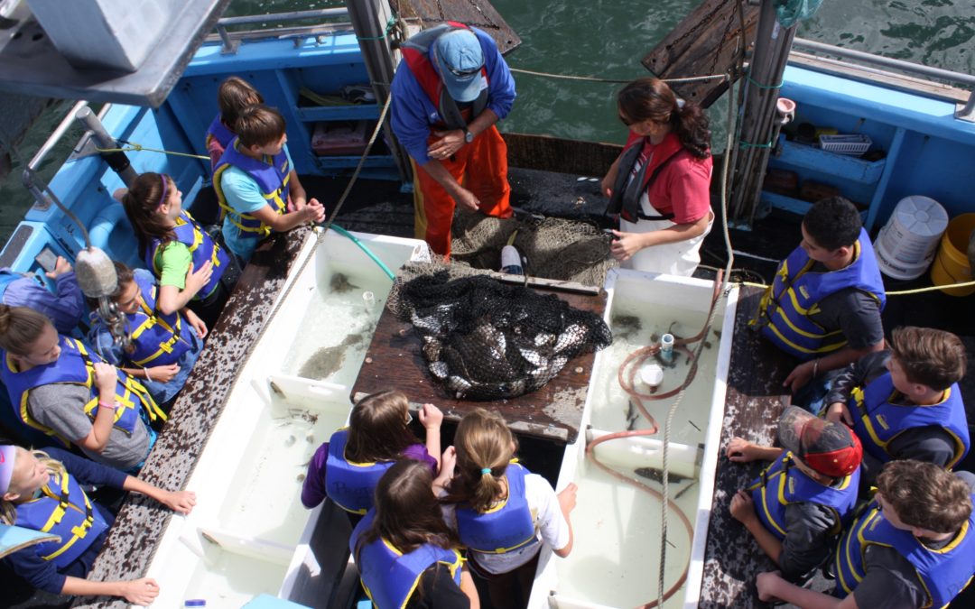 Reef Kids: Optimistic Plans for Project Oceanology
