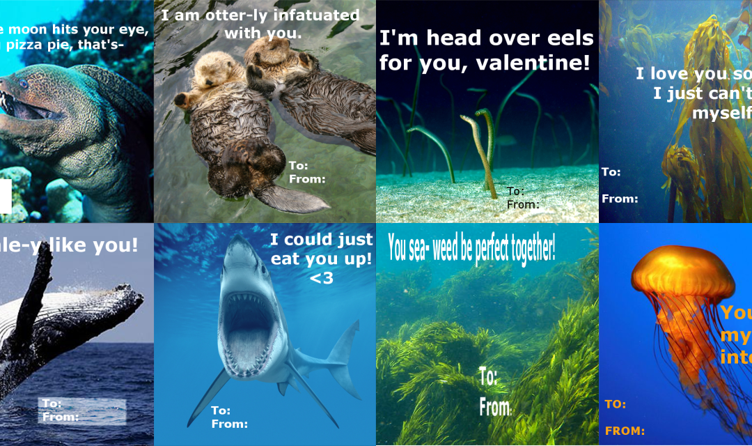 Be my Valentuna!