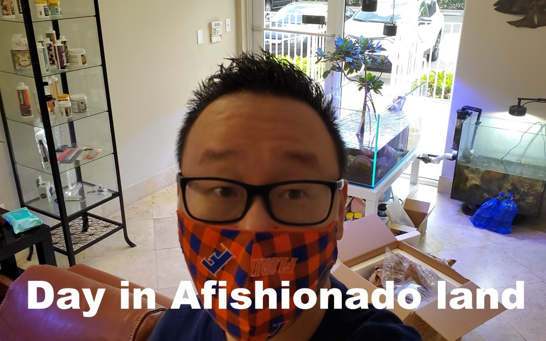 Monday Archives: A Day in Afishionado Land. Captive-bred fish, 3D Print Solutions and Reef Brites