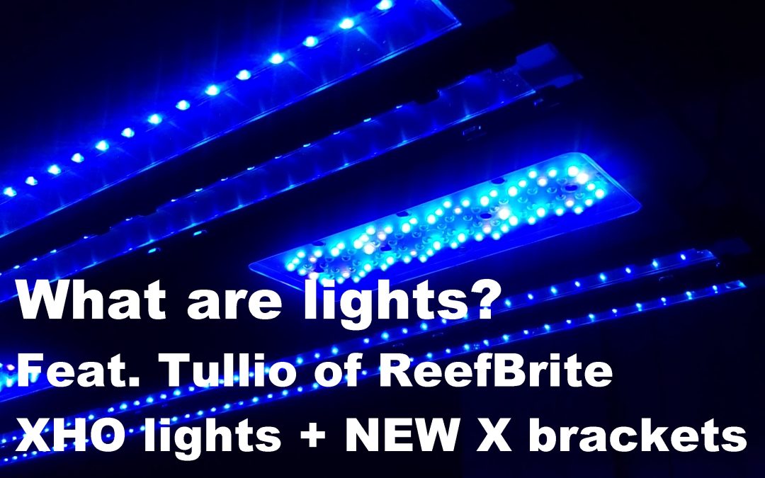 Learning about aquarium lighting with Tullio of Reef Brite