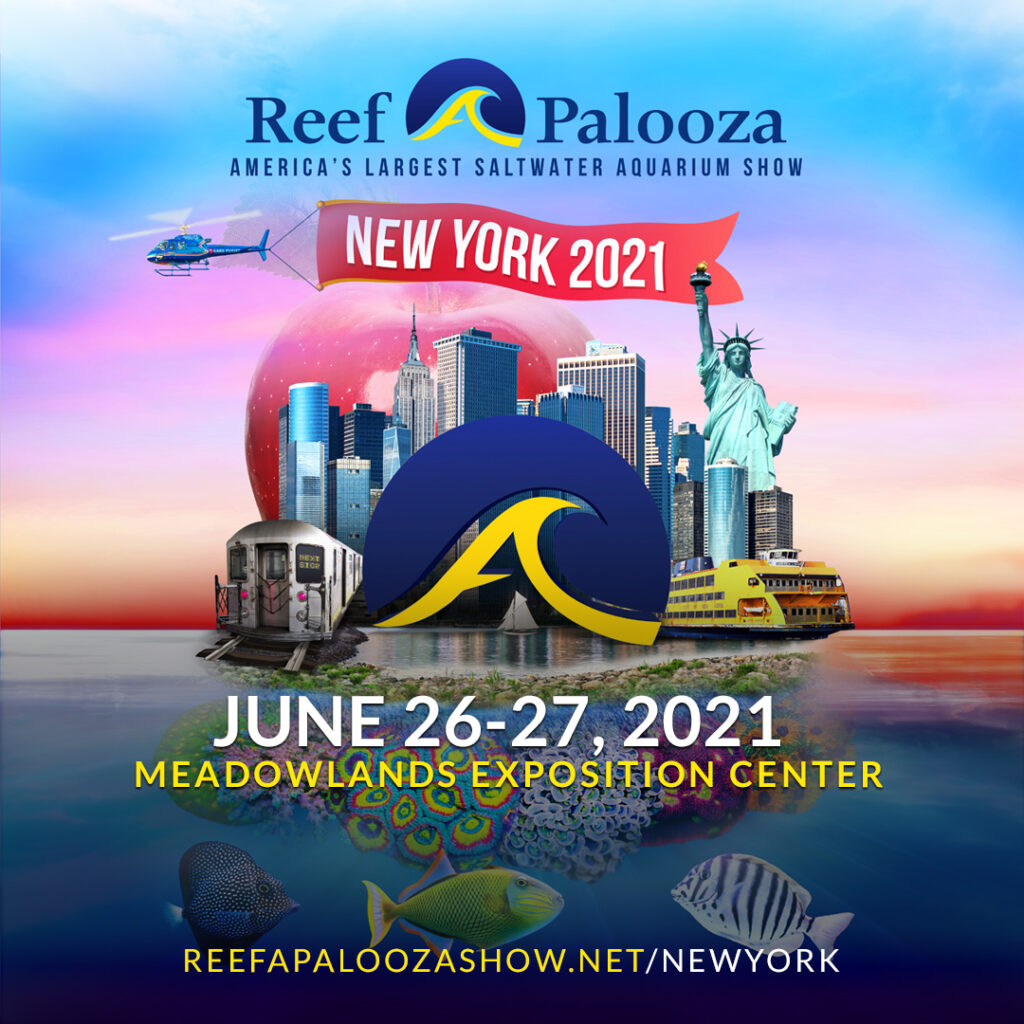 Reef-A-Palooza Meadowlands Update