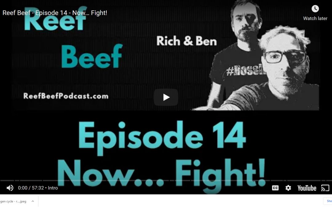 Reef Beef – Episode 14 – Now… Fight!