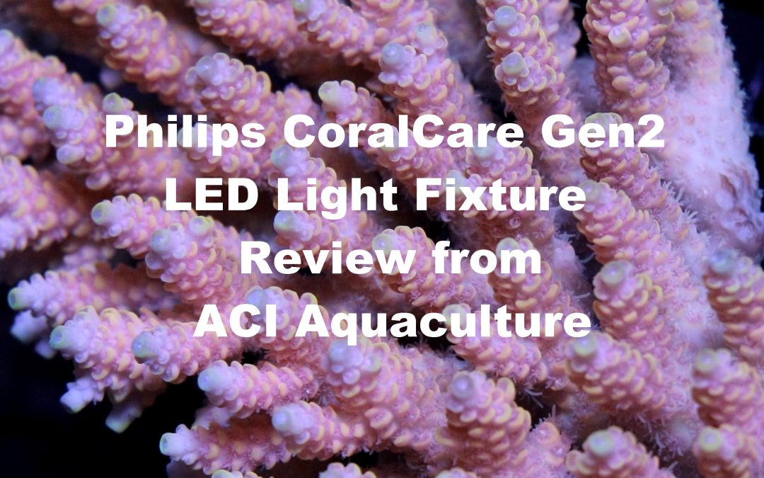 Philips CoralCare Gen2 LED Fixture Review from a Coral Farmer’s perspective. Feat. ACI Aquaculture