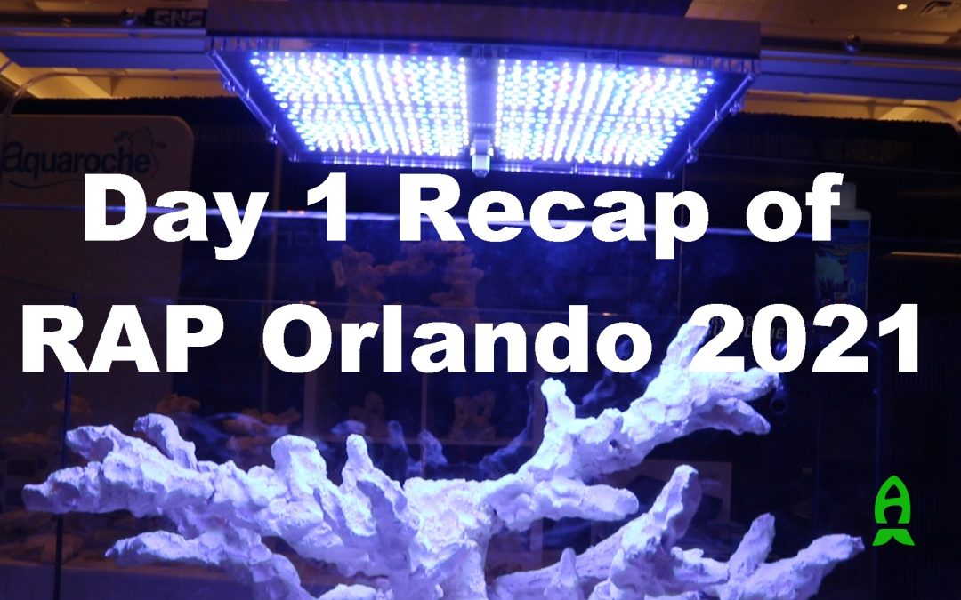 Reef A Palooza Orlando – Day 1 Recap. Favorite Corals and New Equipment