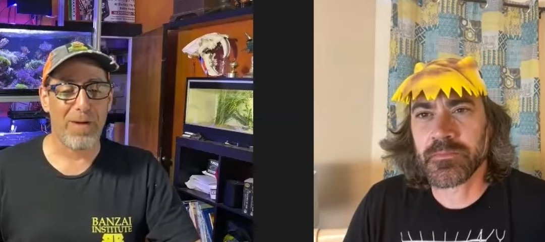 Reef Beef Episode 17 – Control or Not to Control, That is the Question