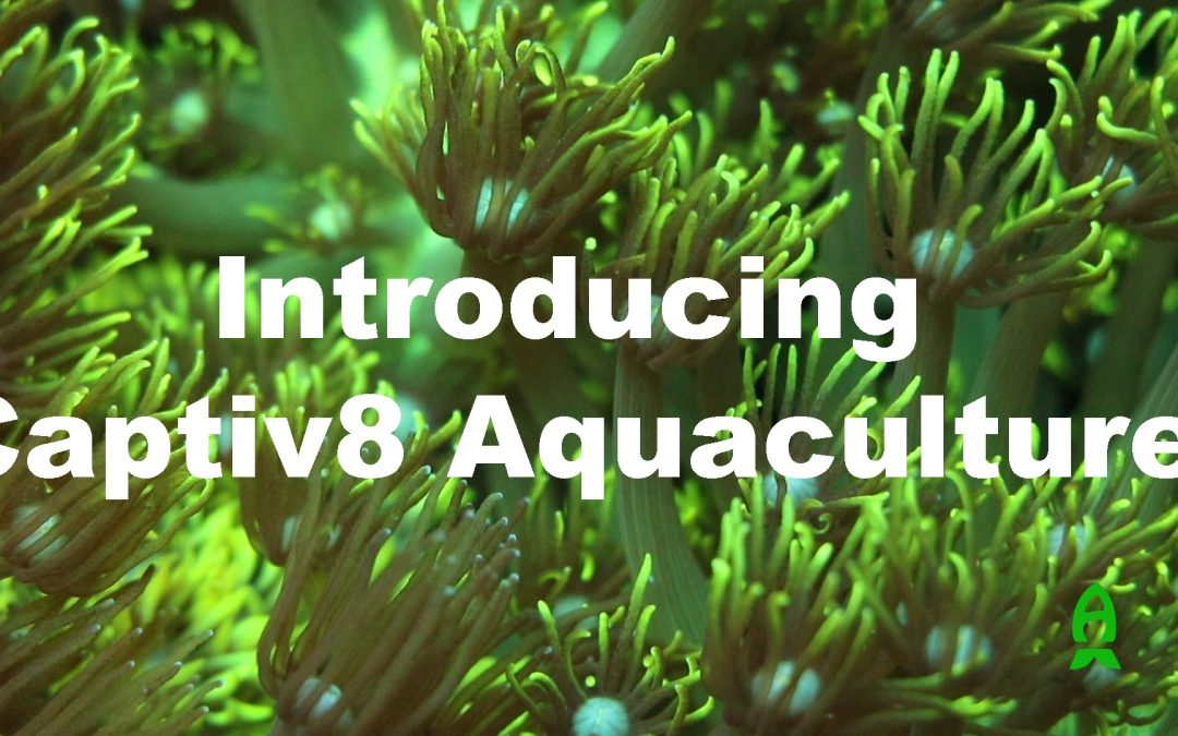 Introducing Captiv8 Aquaculture