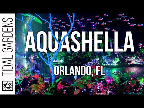 Aquashella Orlando 2021
