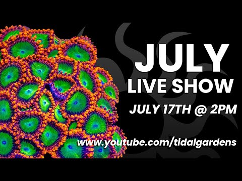 Tidal Gardens July 2021 Live Show