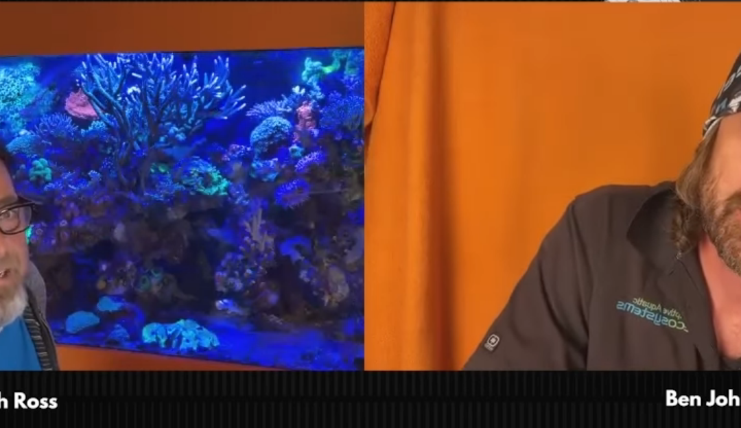 Reef Beef Episode 25 – Airy But Watery