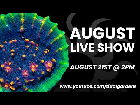 Tidal Gardens August 2021 Live Show