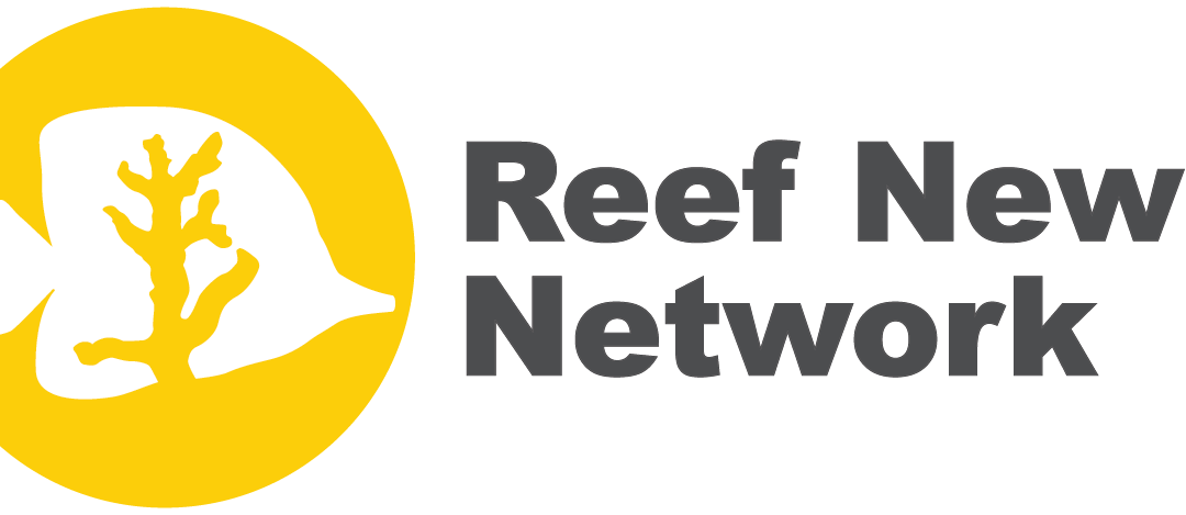 RNN Episode 174 – Reef Gear Roundup: The Extras