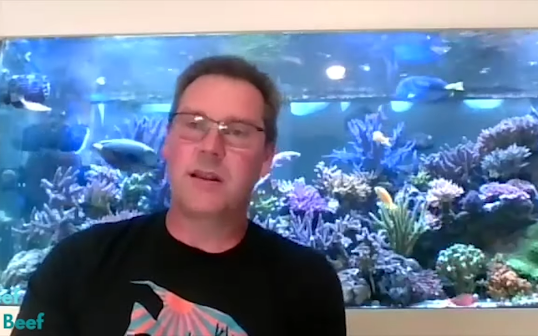 Reef Beef Episode 29 – A 1000 Years of Reefing