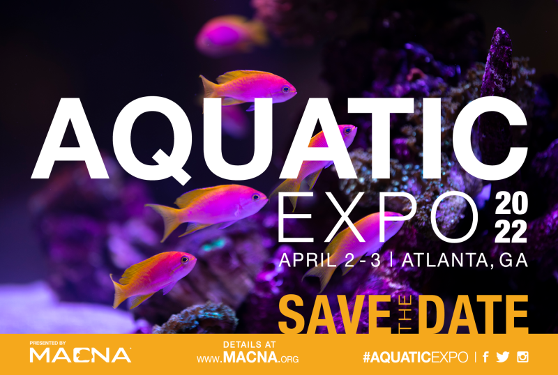 Aquatic Expo