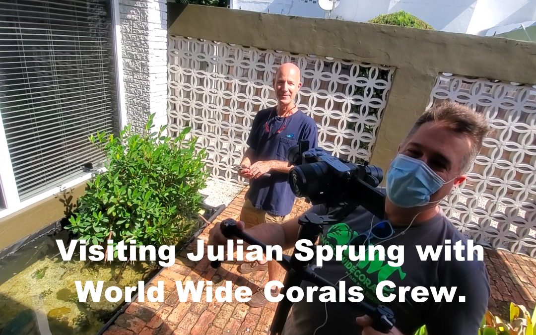 Visiting Julian Sprung with World Wide Corals