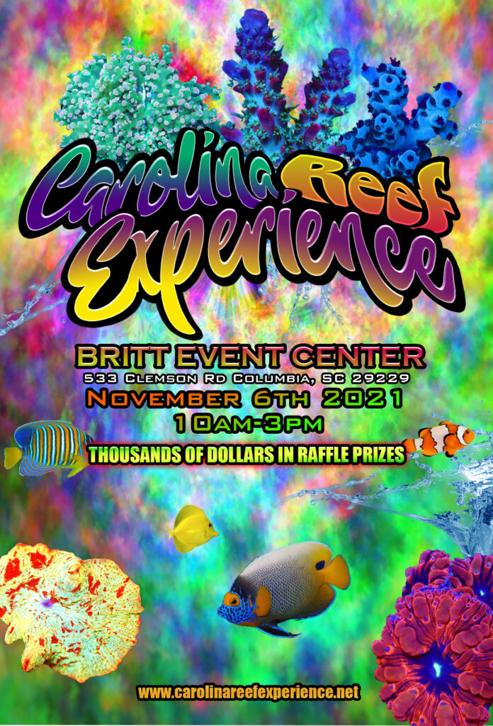 Come Get Your Groove on at the Carolina Reef Experience