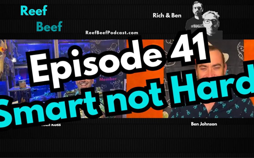 Reef Beef Episode 41 – Smart not Hard