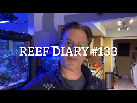 Reef Diary: Diluting Saltwater That is too Concentrated