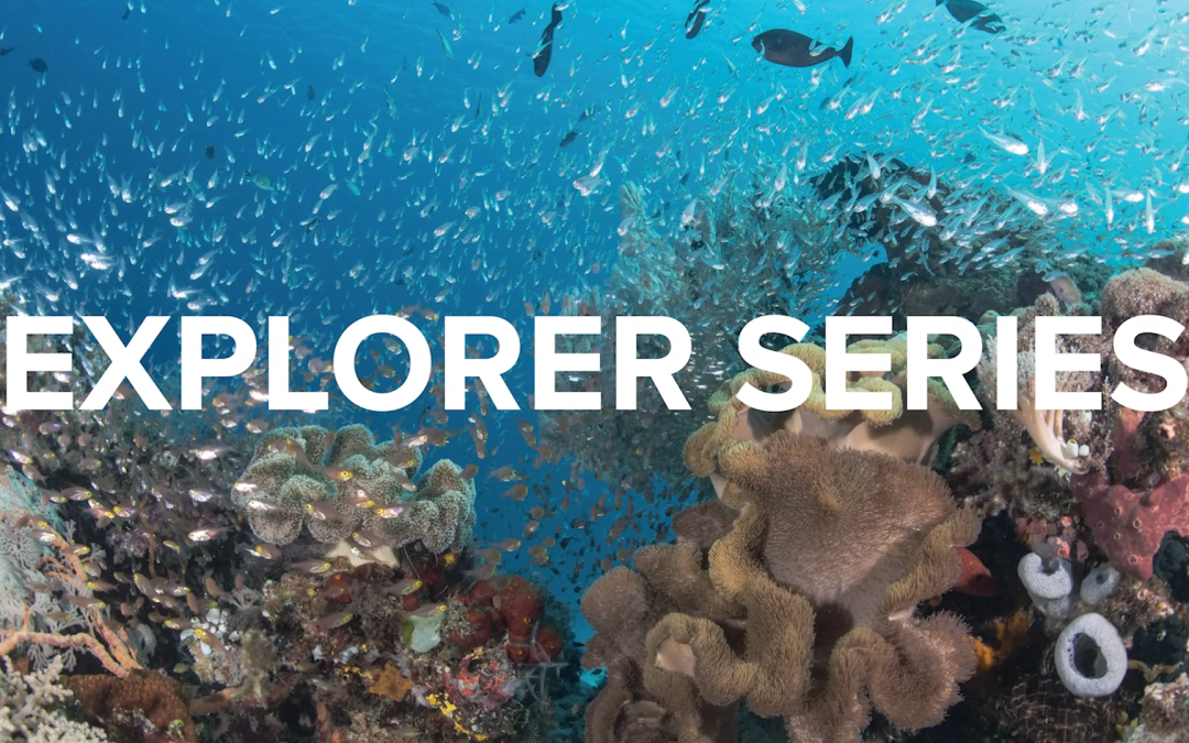 Reef Kids: Ocean Curriculum
