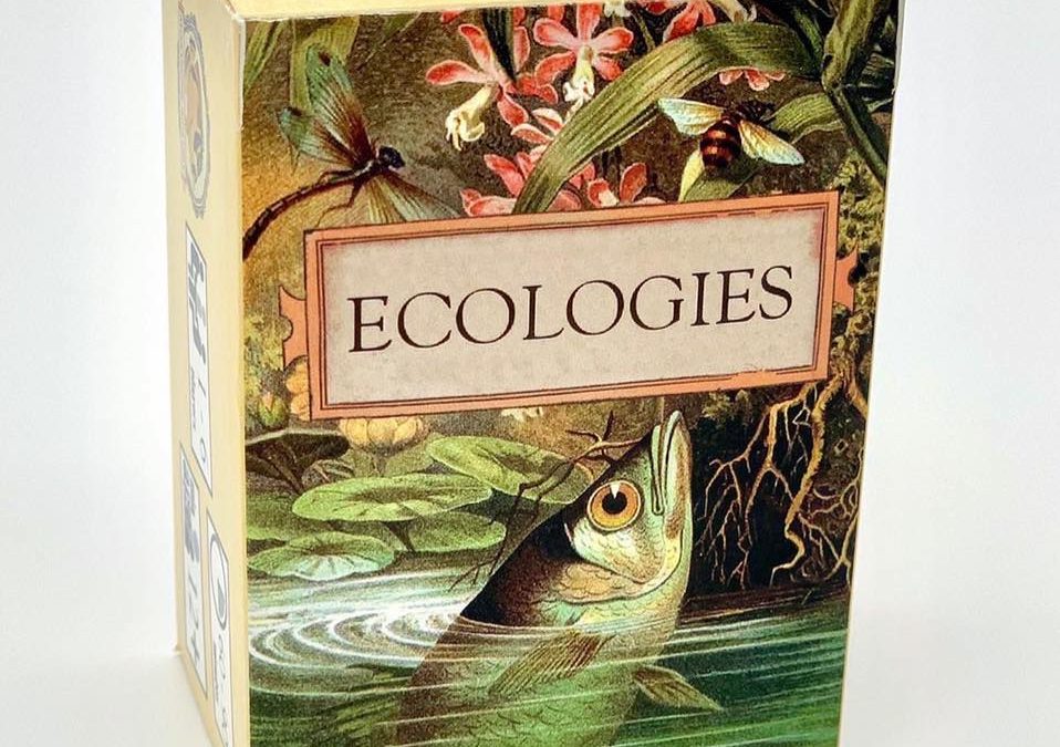 Reef Kids: Ecologies Card Game