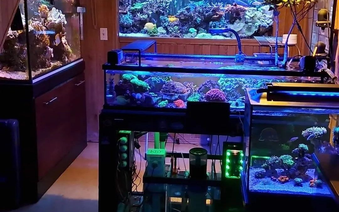Auto Water Changing – A Hybrid Method