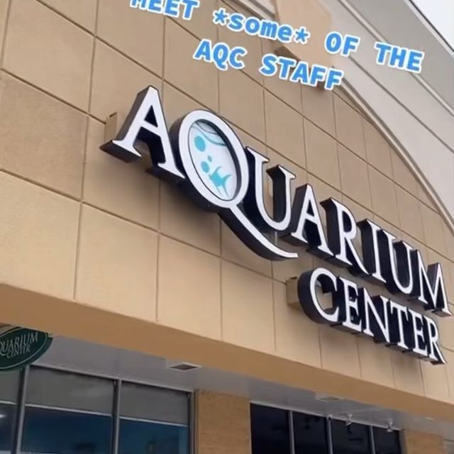 Aquarium Center