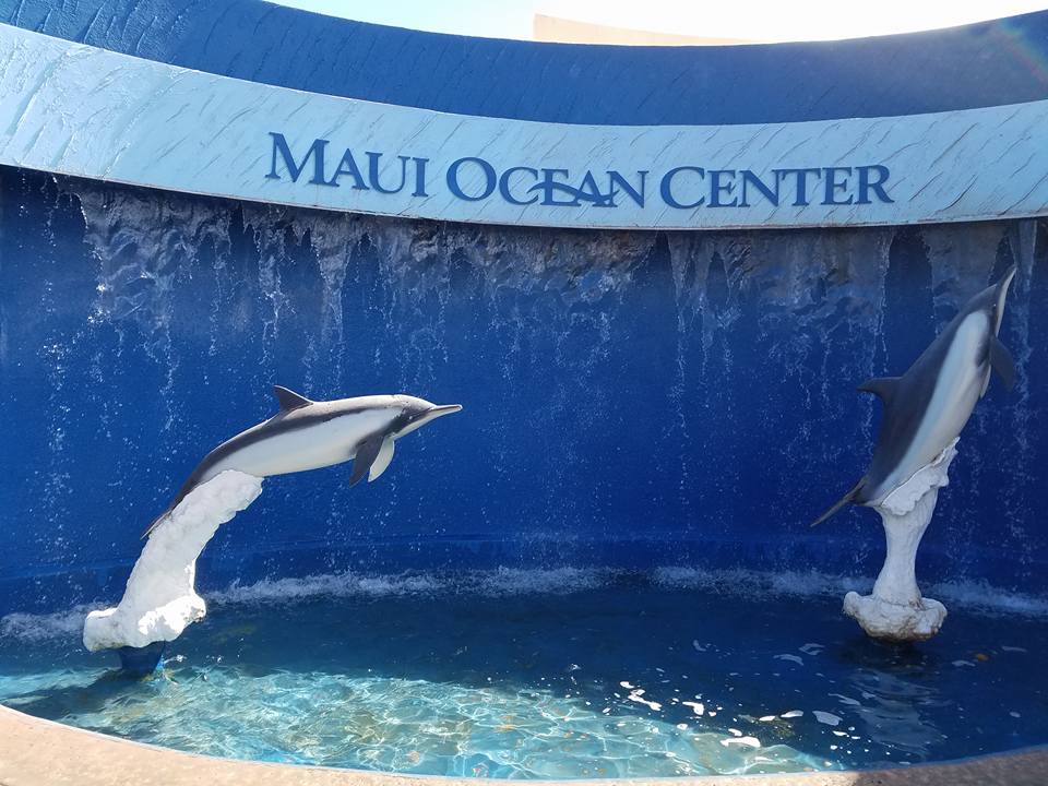 Maui Ocean Center, The Aquarium of Hawaii