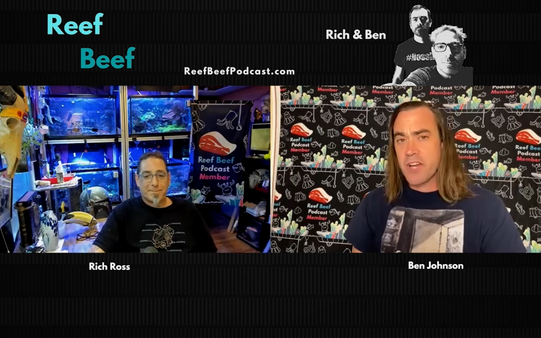 Reef Beef Episode 58 – Have a Why