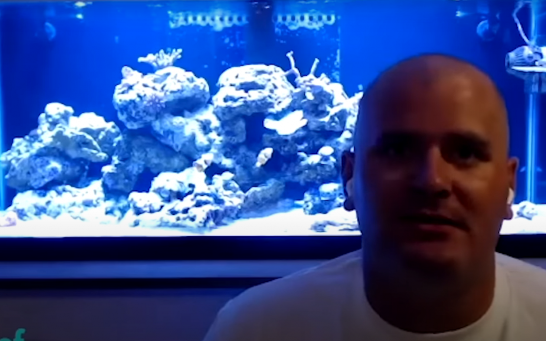 Reef Beef Episode 61: Breaking in to Aquarium Maintenance