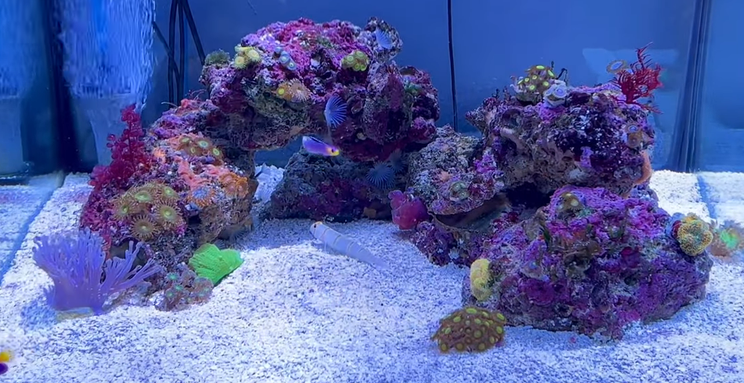 The 27 gallon update