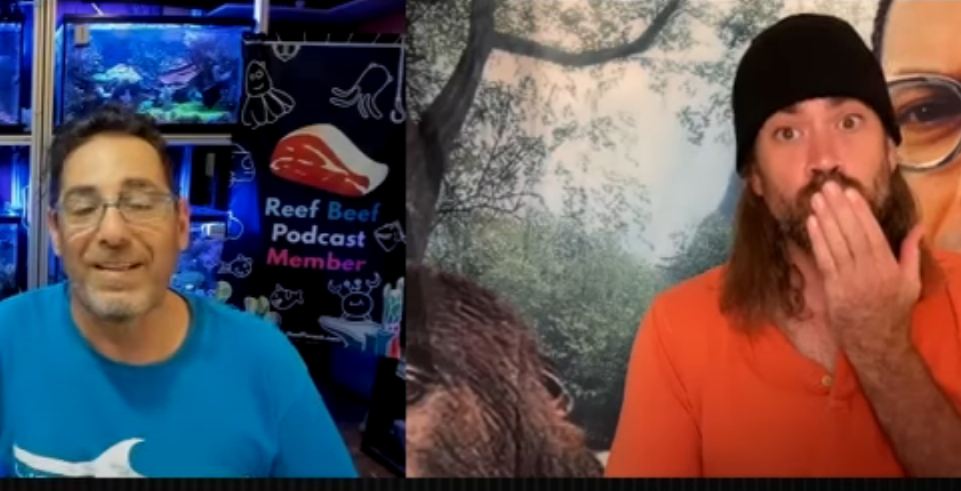 Aquarium Lasers  – Episode 62 – Reef Beef Podcast