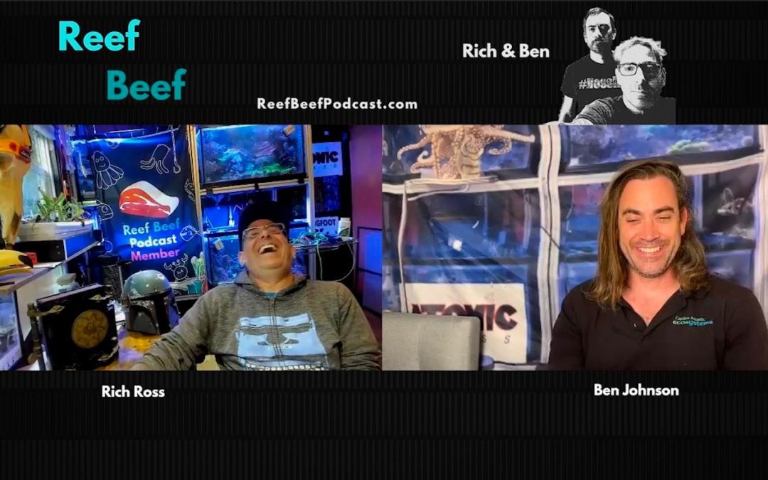 Reef Beef Episode 64 – Don’t Drip the Fish