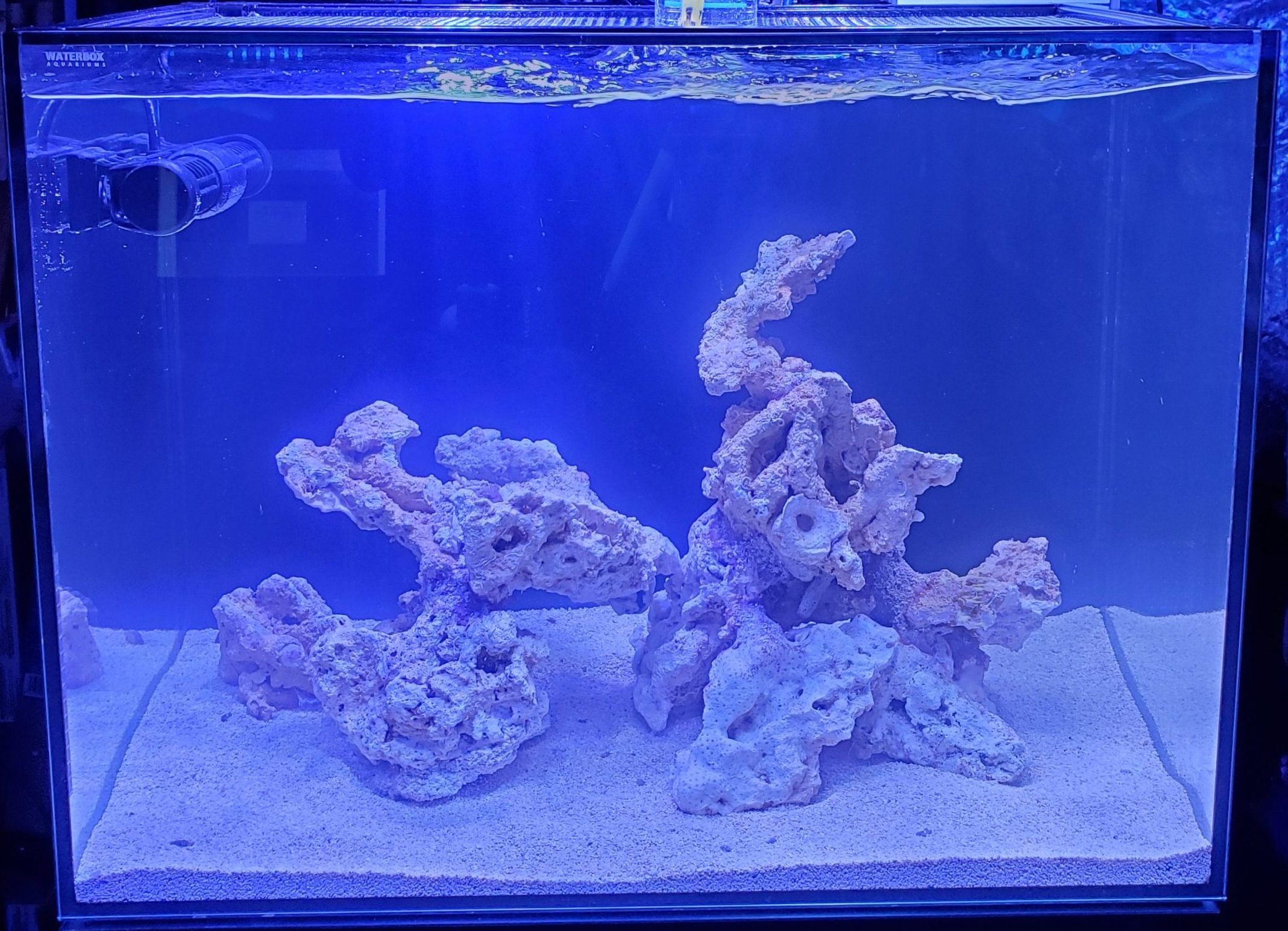 Real Reef Rock Aquascaped Tanks 